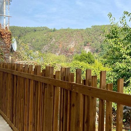 Magnifique Appartement 2/4 Pers - Le Saint Leo エクステリア 写真