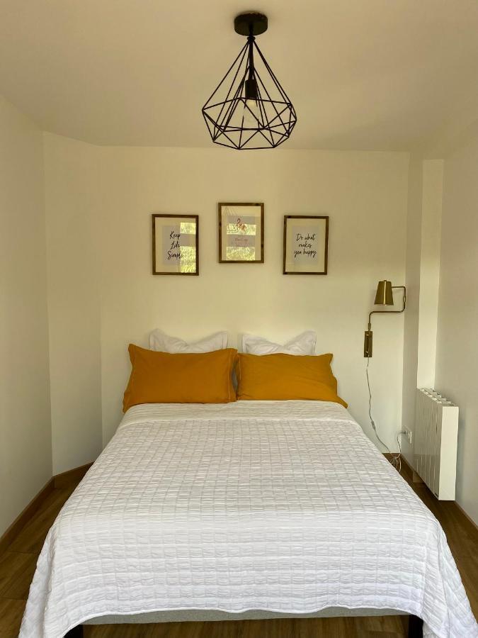 Magnifique Appartement 2/4 Pers - Le Saint Leo エクステリア 写真