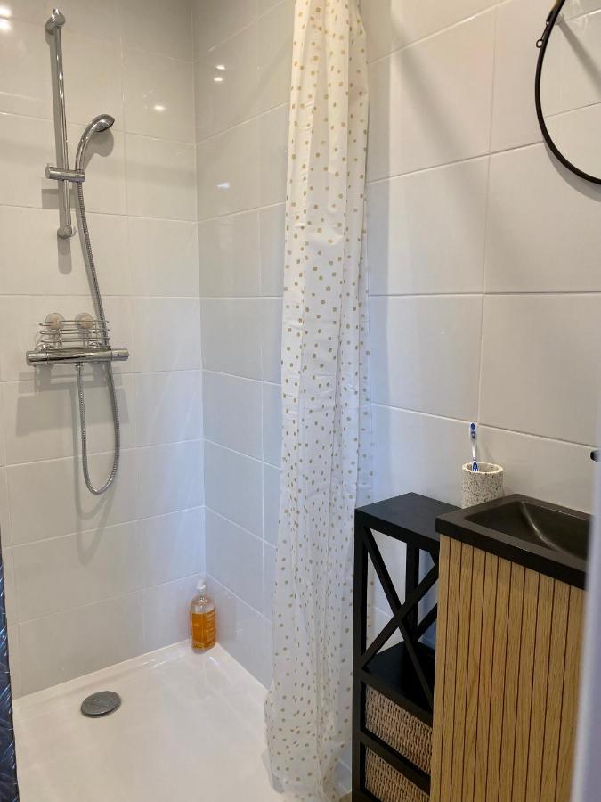 Magnifique Appartement 2/4 Pers - Le Saint Leo エクステリア 写真